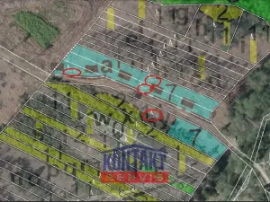 Prodej lesa, Dlouhá Brtnice, 5000 m2