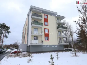 Pronájem bytu 2+kk, Nová Role, Svobodova, 39 m2