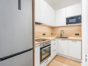 Pronájem bytu 2+kk, Praha - Žižkov, Malešická, 51 m2