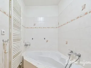 Pronájem rodinného domu, Louka, 110 m2