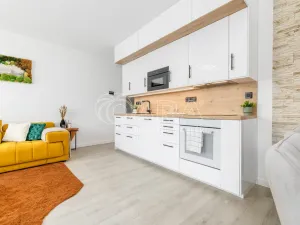 Pronájem bytu 2+kk, České Budějovice - České Budějovice 2, Krčínova, 71 m2