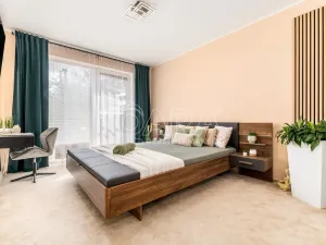 Pronájem bytu 2+kk, České Budějovice - České Budějovice 2, Krčínova, 71 m2