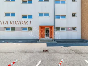 Pronájem bytu 2+kk, České Budějovice - České Budějovice 2, Krčínova, 71 m2