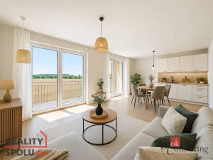 Prodej bytu 4+kk, Plzeň - Litice, 100 m2