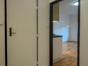 Pronájem bytu 2+kk, Praha - Nusle, Děkanská vinice I, 43 m2
