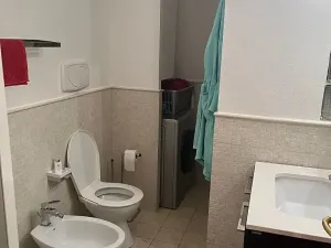 Prodej bytu 2+kk, Praha, Tyršova, 60 m2