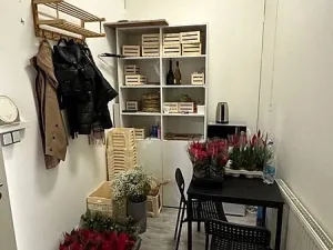 Pronájem obchodního prostoru, Brno - Brno-město, náměstí Svobody, 64 m2