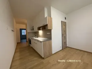 Pronájem bytu 2+1, Ústí nad Labem - Střekov, Tolstého, 63 m2