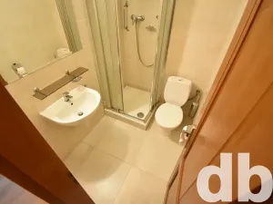 Pronájem bytu 2+1, Karlovy Vary, Vítězná, 54 m2