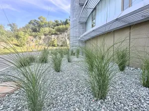 Prodej bytu 3+kk, Brno, Bystrcká, 75 m2