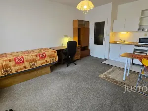 Pronájem bytu 1+kk, Písek, Harantova, 28 m2