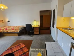 Pronájem bytu 1+kk, Písek, Harantova, 28 m2