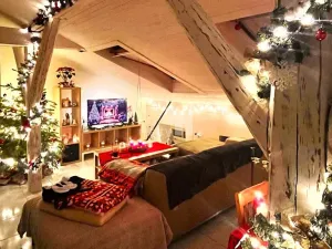 Pronájem bytu 1+kk, Kolín - Kolín I, Zámecká, 43 m2