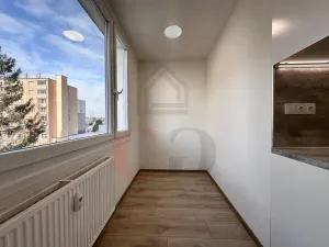 Pronájem bytu 1+1, Třemošná, Luční, 40 m2