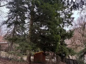 Prodej chaty, Bratřínov, 38 m2