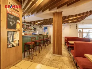 Prodej rodinného domu, Doksy, Pod Borným, 1700 m2