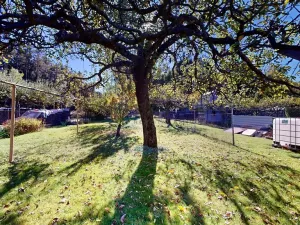 Prodej rodinného domu, Homole, Boršovská, 93 m2