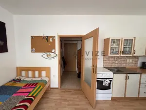Pronájem bytu 1+kk, České Budějovice, Nová, 30 m2