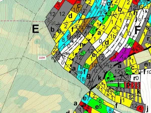Dražba lesa, Vilice, 2384 m2