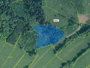 Dražba lesa, Nezdice na Šumavě, 10638 m2