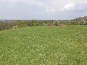 Prodej pozemku, Chotěbuz, 6967 m2