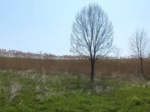 Prodej pozemku, Chotěbuz, 6967 m2