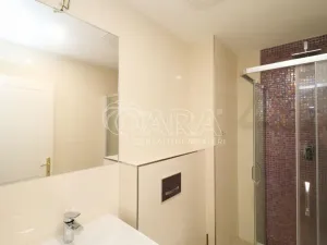 Pronájem bytu 1+kk, Praha, 29 m2