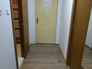 Pronájem bytu 1+kk, Brno, Heršpická, 23 m2