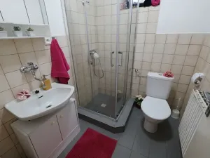 Pronájem rodinného domu, Uherský Brod, 110 m2