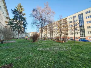 Prodej bytu 2+kk, Praha - Vršovice, Kišiněvská, 48 m2