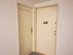 Pronájem bytu 1+kk, Praha - Braník, Pod vinohradem, 27 m2