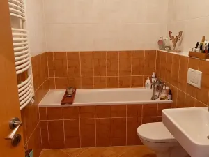 Pronájem bytu 1+kk, Praha - Velká Chuchle, Hvězdářská, 35 m2