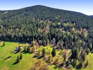 Prodej pozemku pro bydlení, Vítkovice, 21708 m2