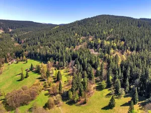 Prodej pozemku pro bydlení, Vítkovice, 21708 m2