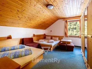 Prodej vily, Harrachov, 341 m2