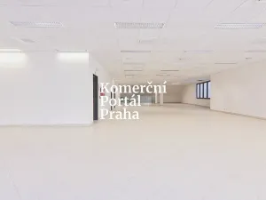 Pronájem obchodního prostoru, Praha - Nové Město, Vodičkova, 311 m2