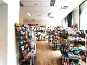 Pronájem obchodního prostoru, Praha - Nové Město, Vodičkova, 627 m2
