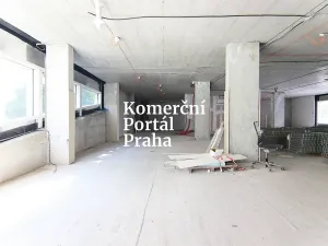 Pronájem restaurace, Praha - Nusle, Lomnického, 470 m2