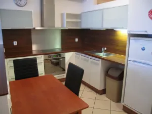 Pronájem bytu 2+kk, Brno, Vodní, 59 m2