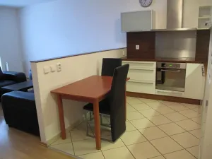 Pronájem bytu 2+kk, Brno, Vodní, 59 m2