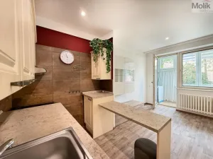 Pronájem bytu 1+kk, Teplice, U divadla, 38 m2