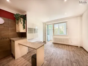 Pronájem bytu 1+kk, Teplice, U divadla, 38 m2