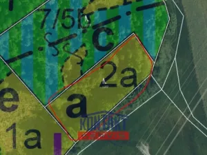 Prodej lesa, Sychrov - Radostín, 30767 m2