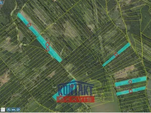Prodej lesa, Jevíčko, 70821 m2