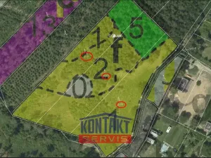 Prodej lesa, Jevíčko, 70821 m2