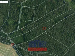 Prodej lesa, Bítouchov, 100105 m2