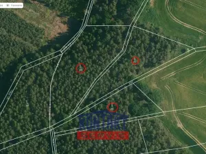 Prodej lesa, Bítouchov, 100105 m2