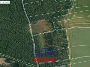Prodej lesa, Bítouchov, 100105 m2