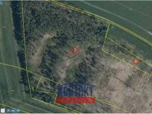 Prodej lesa, Bítouchov, 100105 m2