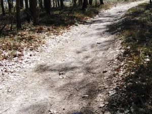 Prodej lesa, Bítouchov, 100105 m2